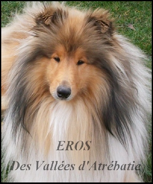 Eros des vallées d'Atrébatie