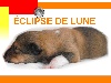 ECLIPSE DE LUNE