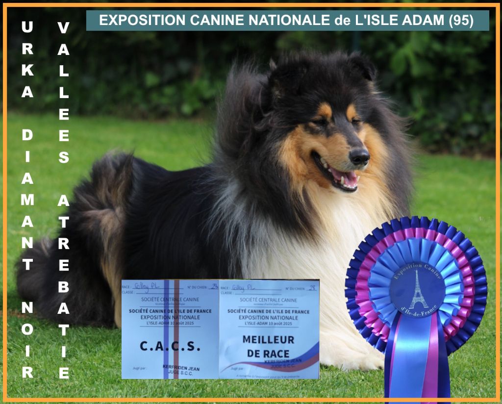 EXPOSITION DE L'ISLE ADAM le 10 08 2025